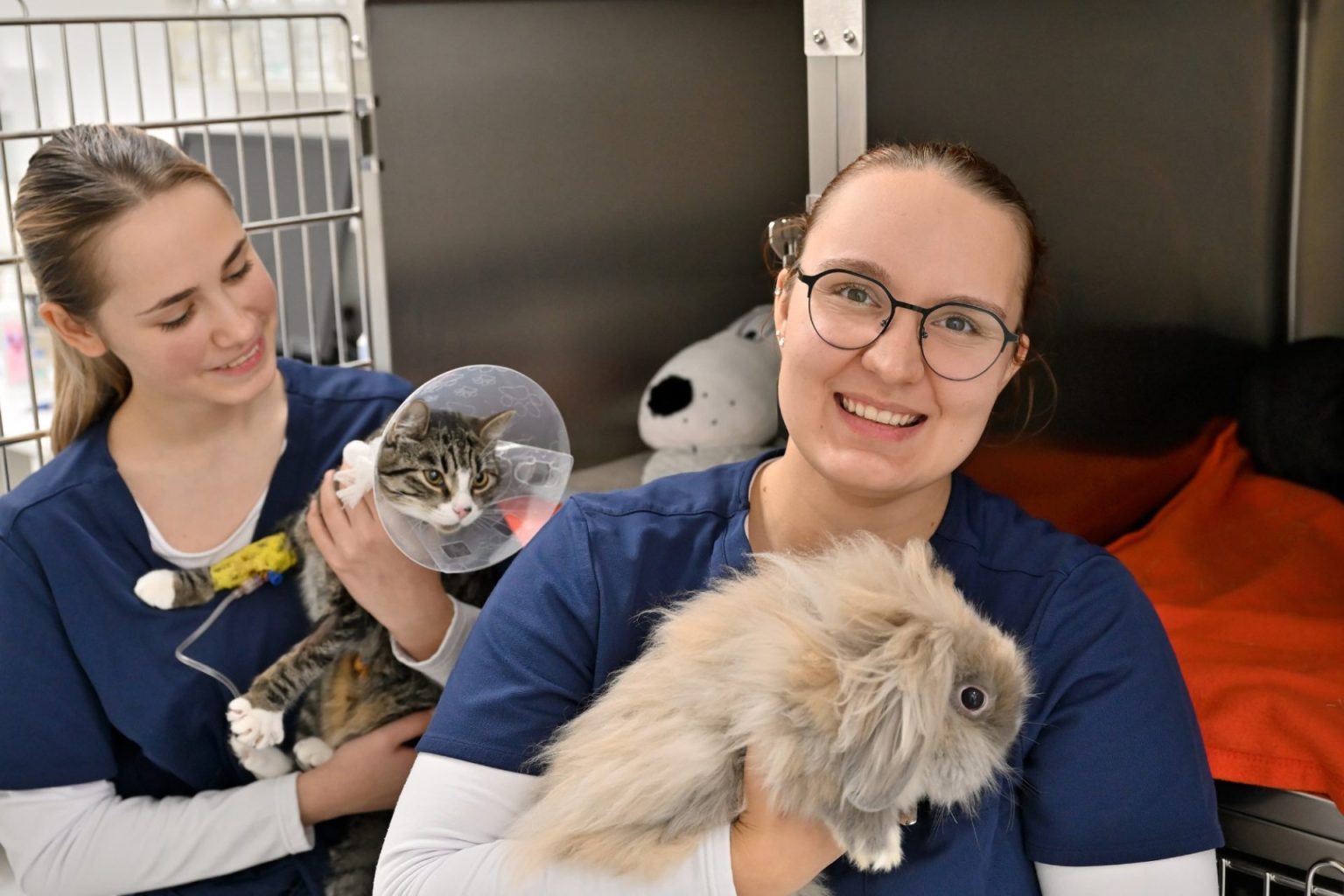 Kleintierpraxis In Junkersdorf - Larissa Michels Tierarztpraxis | Hannover | Kleintierpraxis Großbuchholz